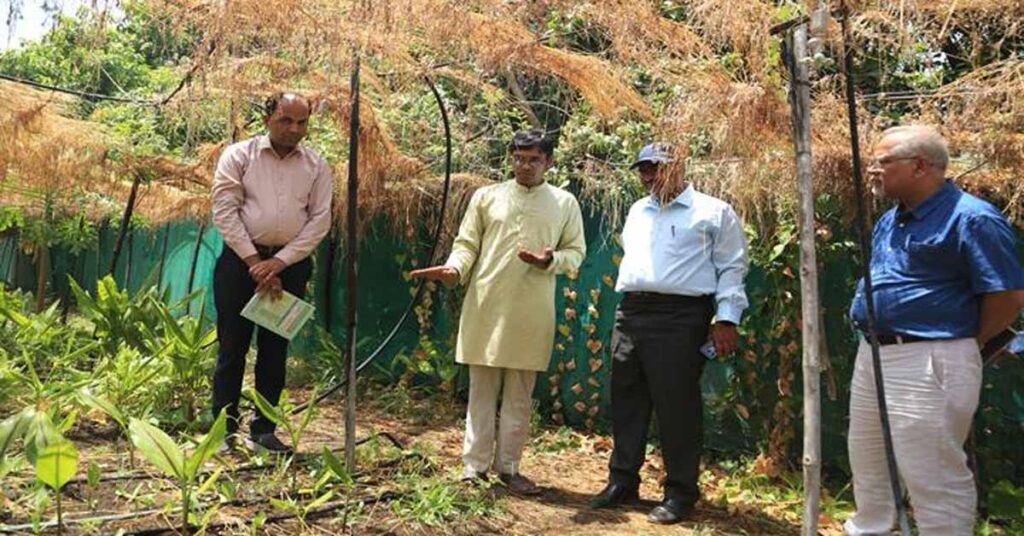 16 एकड़ में तैयार किया अनोखा कृषि मॉडल, जैविक खेती से कमा रहे लाखों रुपए; सागर के युवा किसान की देशभर में चर्चा