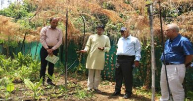 16 एकड़ में तैयार किया अनोखा कृषि मॉडल, जैविक खेती से कमा रहे लाखों रुपए; सागर के युवा किसान की देशभर में चर्चा