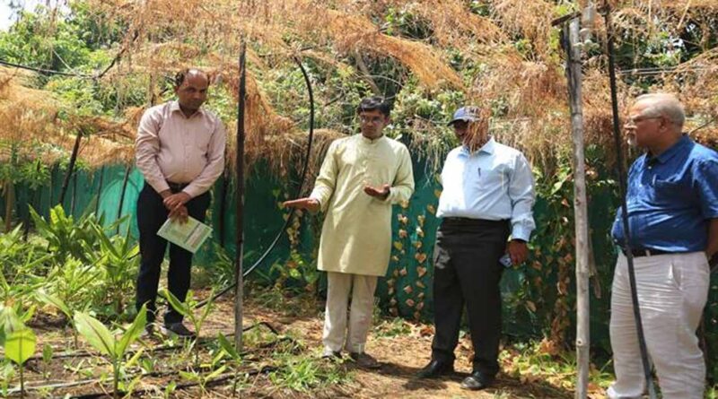 16 एकड़ में तैयार किया अनोखा कृषि मॉडल, जैविक खेती से कमा रहे लाखों रुपए; सागर के युवा किसान की देशभर में चर्चा