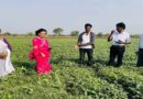 अब धान के खेत से होगी दोहरी कमाई, कृषि विभाग ने किसानों को बताया नया मॉडल