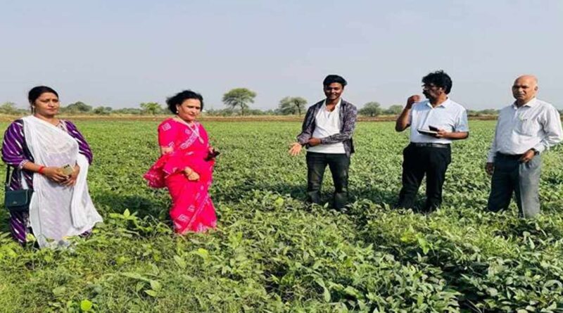 अब धान के खेत से होगी दोहरी कमाई, कृषि विभाग ने किसानों को बताया नया मॉडल