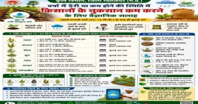 कम बारिश में भी होगी अच्छी पैदावार, कृषि विभाग ने किसानों को बताए जरूरी उपाय