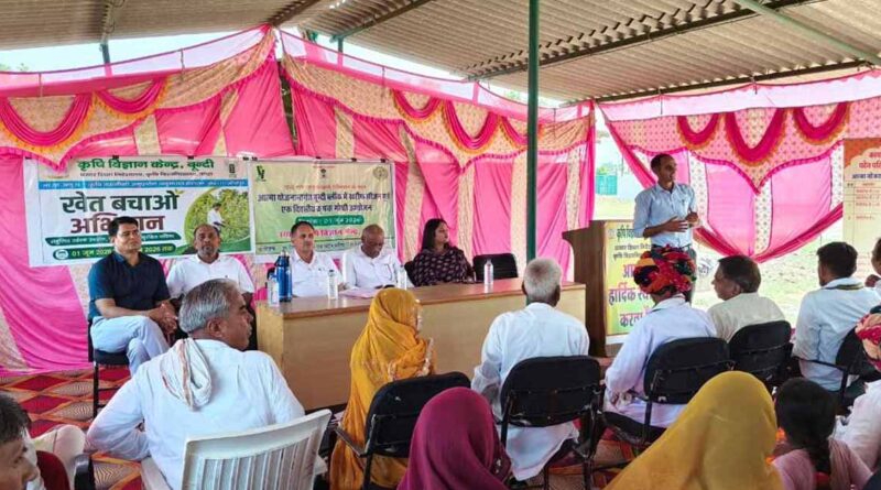 राजस्थान: 'प्रति बूंद अधिकतम उत्पादन' का मंत्र, किसानों को सिखाई गई सूक्ष्म सिंचाई तकनीक  