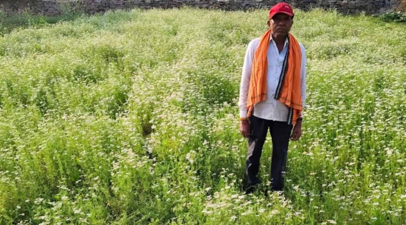 रायपुर: धान छोड़ धनिया की खेती अपनाई, किसान रतिराम पटेल की आय में हुआ बड़ा इजाफा