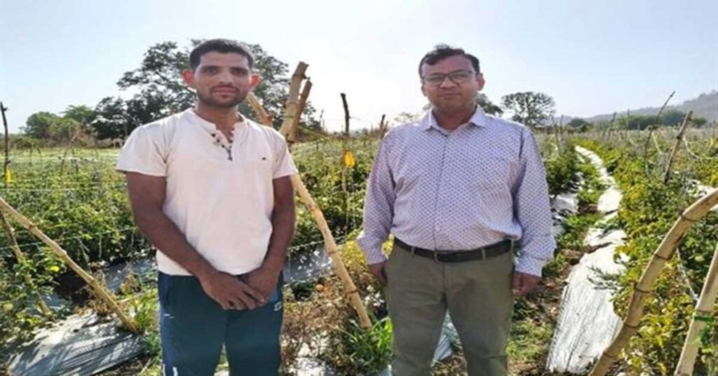 टमाटर की खेती ने बदल दी किसान की जिंदगी, एक एकड़ में कमाए 3 लाख रुपये; जानिए कैसे
