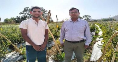 टमाटर की खेती ने बदल दी किसान की जिंदगी, एक एकड़ में कमाए 3 लाख रुपये; जानिए कैसे  