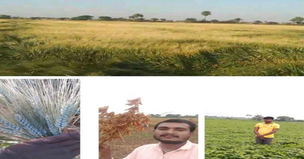 मध्यप्रदेश: मृदा परीक्षण और एकीकृत खेती ने बदली किसान की तकदीर, 25 लाख पहुंची आय