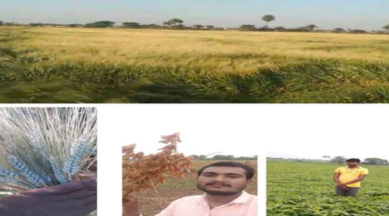 मध्यप्रदेश: मृदा परीक्षण और एकीकृत खेती ने बदली किसान की तकदीर, 25 लाख पहुंची आय
