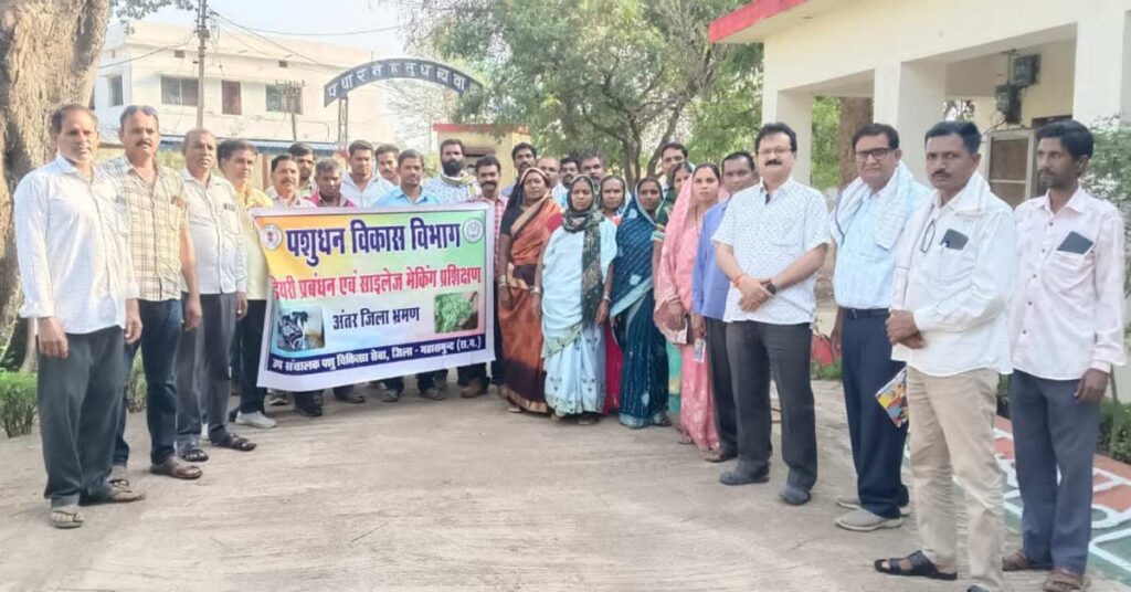 रायपुर: महासमुंद में डेयरी व्यवसाय बना किसानों की आय का सहारा, रोजाना बिक रहा 34 हजार लीटर दूध