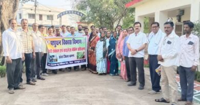 रायपुर: महासमुंद में डेयरी व्यवसाय बना किसानों की आय का सहारा, रोजाना बिक रहा 34 हजार लीटर दूध