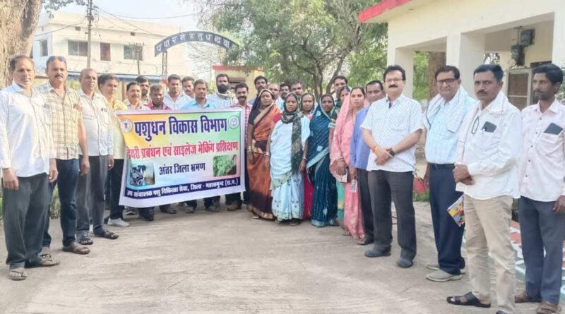 रायपुर: महासमुंद में डेयरी व्यवसाय बना किसानों की आय का सहारा, रोजाना बिक रहा 34 हजार लीटर दूध