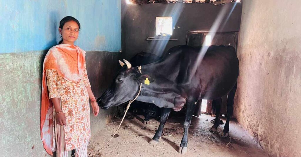 रायपुर: पशुपालन ने बदली सरस्वती पैंकरा की किस्मत, दूध बेचकर हर महीने कमा रहीं 20 हजार रुपए