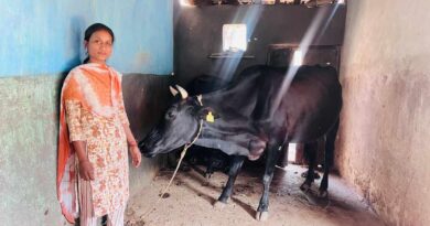 रायपुर: पशुपालन ने बदली सरस्वती पैंकरा की किस्मत, दूध बेचकर हर महीने कमा रहीं 20 हजार रुपए