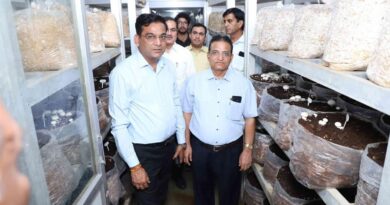 राजस्थान में मशरूम खेती को मिलेगा बढ़ावा, किसानों को दिया जाएगा विशेष प्रशिक्षण