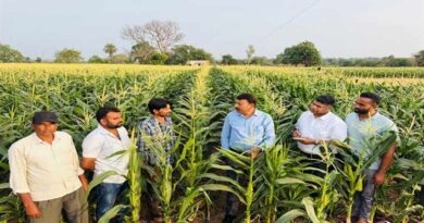 75 दिन में तैयार होने वाली इस फसल ने किसान को बनाया मालामाल, अब 15 एकड़ में कर रहे खेती