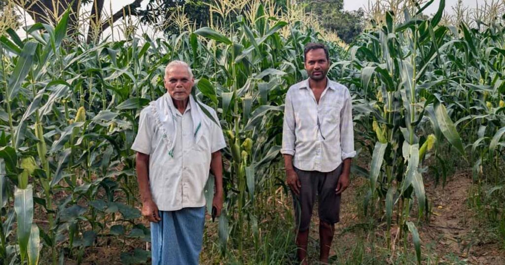 स्वीट कॉर्न की खेती से बदली किसान की तकदीर, एक सीजन में दो लाख तक की आय