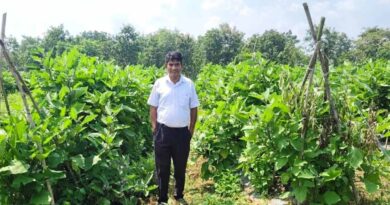 धान की पारंपरिक खेती छोड़ ग्राफ्टेड बैंगन अपनाया, किसान ने प्रति एकड़ कमाए 6.50 लाख रुपये; जानिए कैसे  