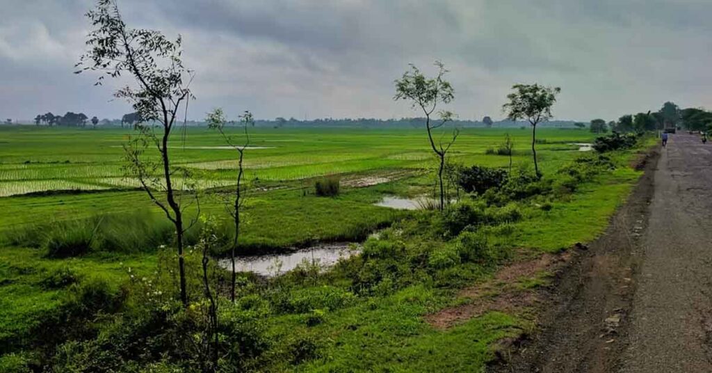 मध्यप्रदेश में मानसून की आहट, ग्वालियर-भोपाल-इंदौर समेत कई जिलों में बारिश- तेज हवाओं का अलर्ट; IMD ने जारी की चेतावनी