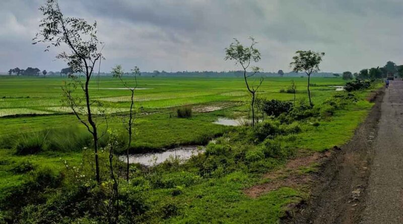 मध्यप्रदेश में मानसून की आहट, ग्वालियर-भोपाल-इंदौर समेत कई जिलों में बारिश- तेज हवाओं का अलर्ट; IMD ने जारी की चेतावनी