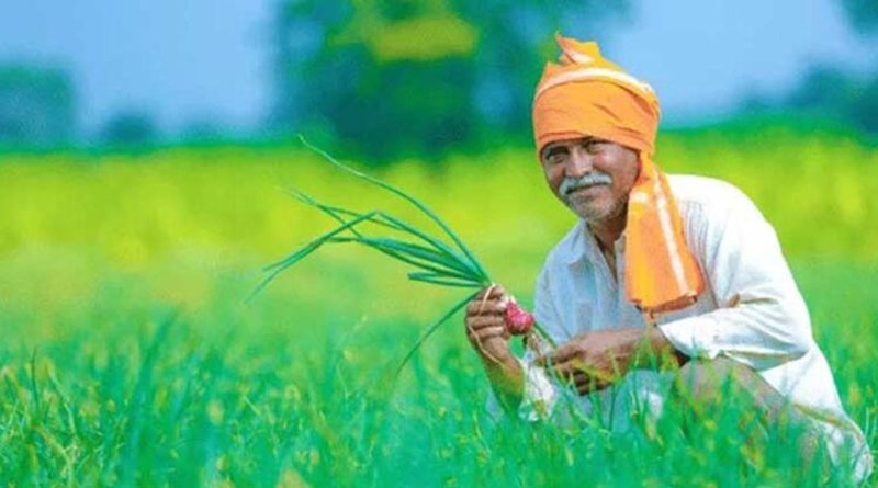 Farmer ID: 10.18 करोड़ किसानों को मिली डिजिटल पहचान, सरकारी योजनाओं का लाभ होगा और आसान