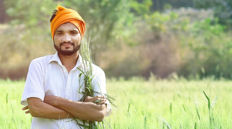 किसानों के लिए अच्छी खबर! दाल मिल लगाने पर मिलेगी 25 लाख रुपये तक की सब्सिडी, 5 अगस्त तक करें आवेदन