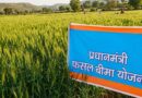 उज्जैन: खरीफ फसलों का बीमा 31 जुलाई तक कराएं किसान  