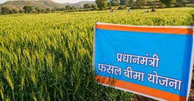 उज्जैन: खरीफ फसलों का बीमा 31 जुलाई तक कराएं किसान  