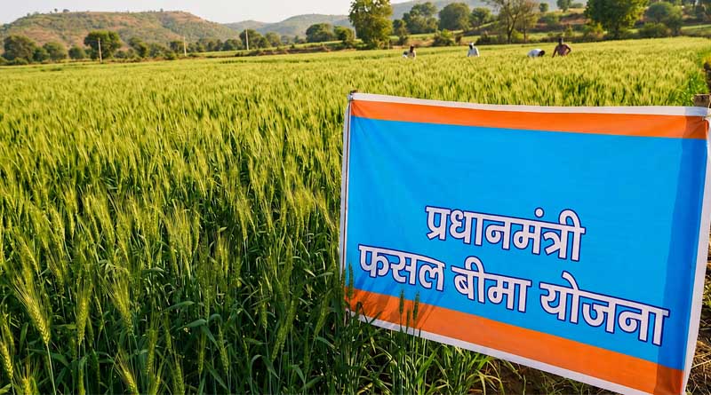 उज्जैन: खरीफ फसलों का बीमा 31 जुलाई तक कराएं किसान