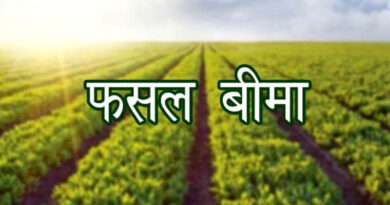 हरदा: फसल का बीमा 31 जुलाई तक अवश्य कराएं