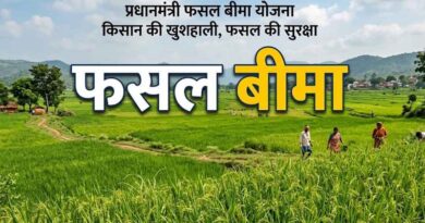 बैतूल : फसल बीमा के लिए आवेदन शुरू, 31 जुलाई अंतिम तिथि