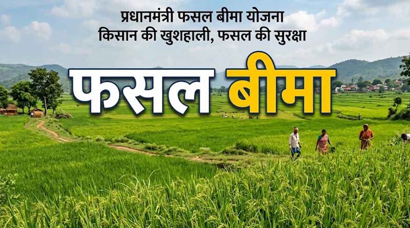 बैतूल : फसल बीमा के लिए आवेदन शुरू, 31 जुलाई अंतिम तिथि
