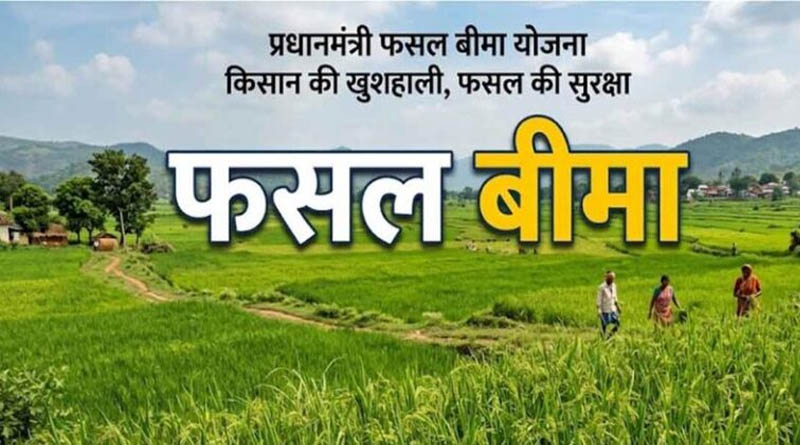 Crop Insurance: फसल बीमा में बड़ा बदलाव, नई तकनीक से होगा नुकसान का सटीक आकलन और जल्द मिलेगा क्लेम