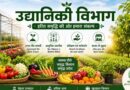 उद्यानिकी विभाग में बड़े स्तर पर पदोन्नति, 44 अधिकारियों को मिला उच्च पद का दायित्व