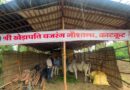 सॉफ्टवेयर इंजीनियर बने गौ-सेवक  