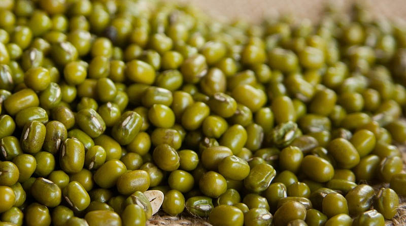 देवास: ग्रीष्मकालीन मूंग उपार्जन 10 अगस्त तक