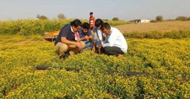 संसद में कृषि : पर्यावरण और बीजों की स्वायत्तता