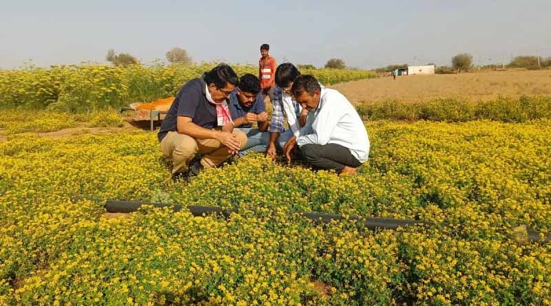 संसद में कृषि : पर्यावरण और बीजों की स्वायत्तता