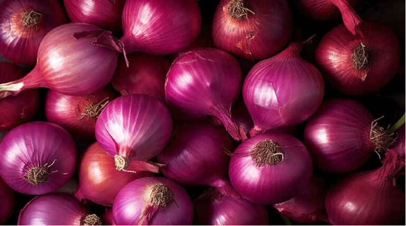 MP Onion Mandi Rate: मध्य प्रदेश की मंडियों में प्याज के दामों में बड़ा अंतर, कहीं ₹2,611 तो कहीं सिर्फ ₹100 प्रति क्विंटल मिलें भाव