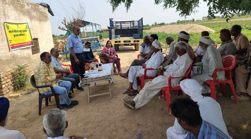 राजस्थान: 11 पंचायत समितियों के 55 किसानों को मिलेगा कृषि पुरस्कार, 7 लाख रुपये की प्रोत्साहन राशि