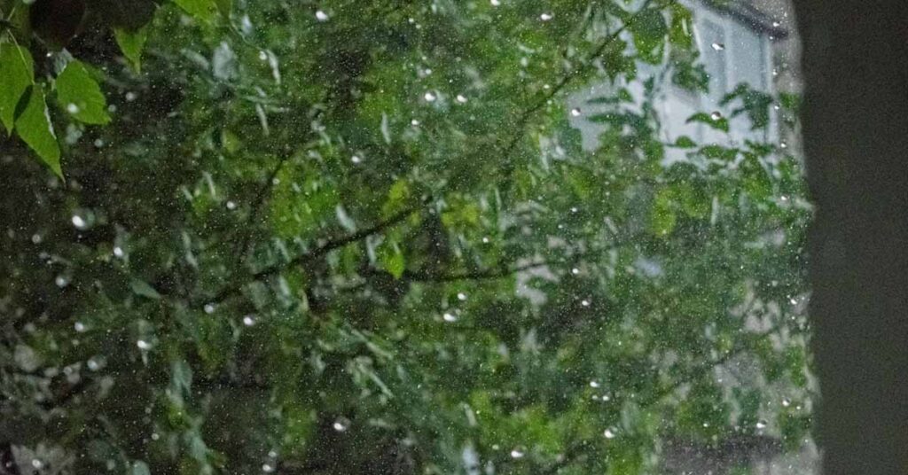 IMD Rain Alert: MP, गुजरात और महाराष्ट्र में भारी से अति भारी बारिश का अलर्ट, राजस्थान-हरियाणा में आगे बढ़ा मानसून
