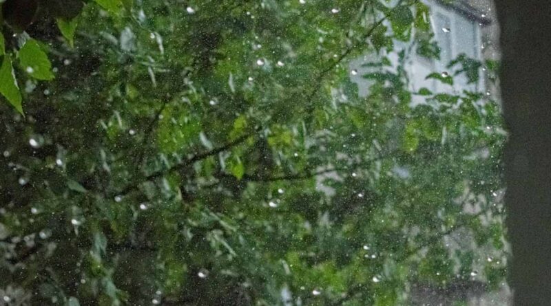 IMD Rain Alert: MP, गुजरात और महाराष्ट्र में भारी से अति भारी बारिश का अलर्ट, राजस्थान-हरियाणा में आगे बढ़ा मानसून