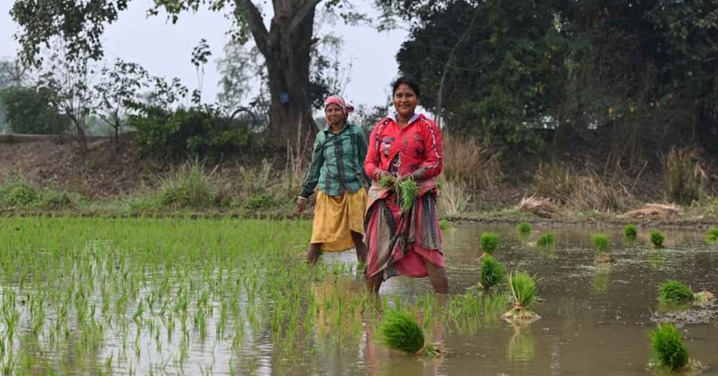 प्रदेश में 150 लाख हेक्टेयर से अधिक क्षेत्र में होगी खरीफ बुवाई