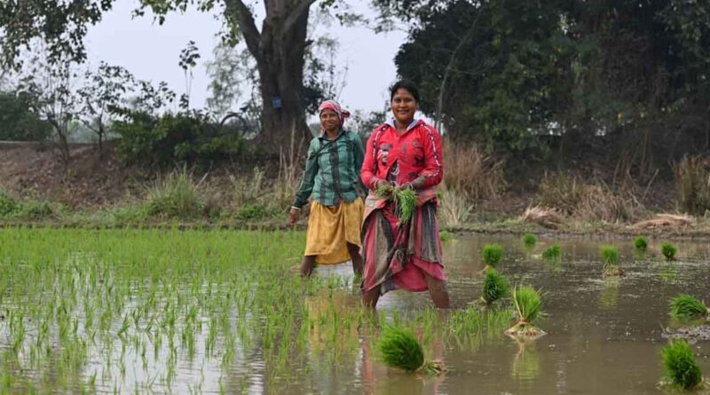 प्रदेश में 150 लाख हेक्टेयर से अधिक क्षेत्र में होगी खरीफ बुवाई