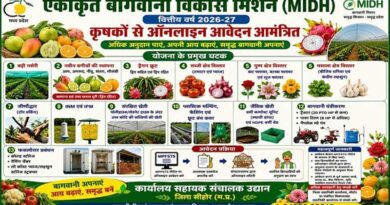सीहोर: एकीकृत बागवानी विकास मिशन के तहत विभिन्न घटकों हेतु ऑनलाइन आवेदन आमंत्रित