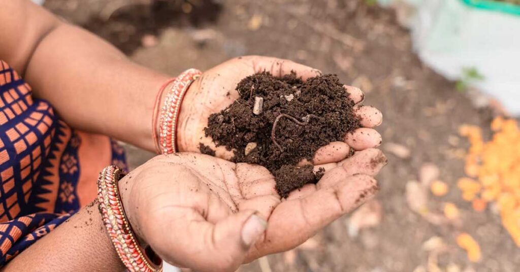 कुक्कुट खाद : कम लागत में उपज बढ़ाने और मिट्टी की सेहत सुधारने का प्रभावी जैविक विकल्प