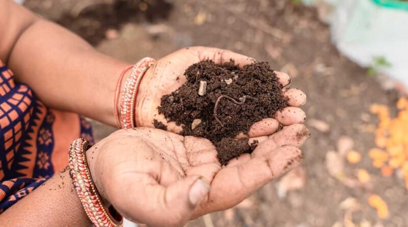कुक्कुट खाद : कम लागत में उपज बढ़ाने और मिट्टी की सेहत सुधारने का प्रभावी जैविक विकल्प