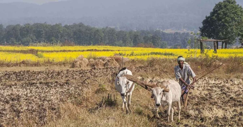 भारत-सेशेल्स की नई कृषि साझेदारी: अनुसंधान, तकनीक और जलवायु-अनुकूल खेती पर 2031 तक साथ करेंगे कामभारत-सेशेल्स की नई कृषि साझेदारी: अनुसंधान, तकनीक और जलवायु-अनुकूल खेती पर 2031 तक साथ करेंगे काम