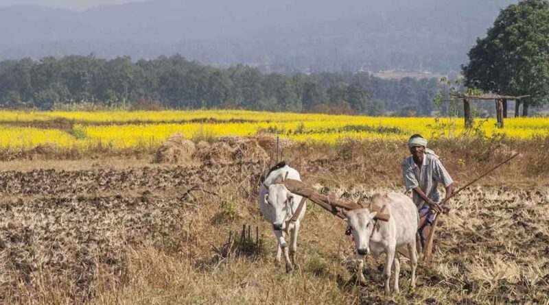 भारत-सेशेल्स की नई कृषि साझेदारी: अनुसंधान, तकनीक और जलवायु-अनुकूल खेती पर 2031 तक साथ करेंगे कामभारत-सेशेल्स की नई कृषि साझेदारी: अनुसंधान, तकनीक और जलवायु-अनुकूल खेती पर 2031 तक साथ करेंगे काम