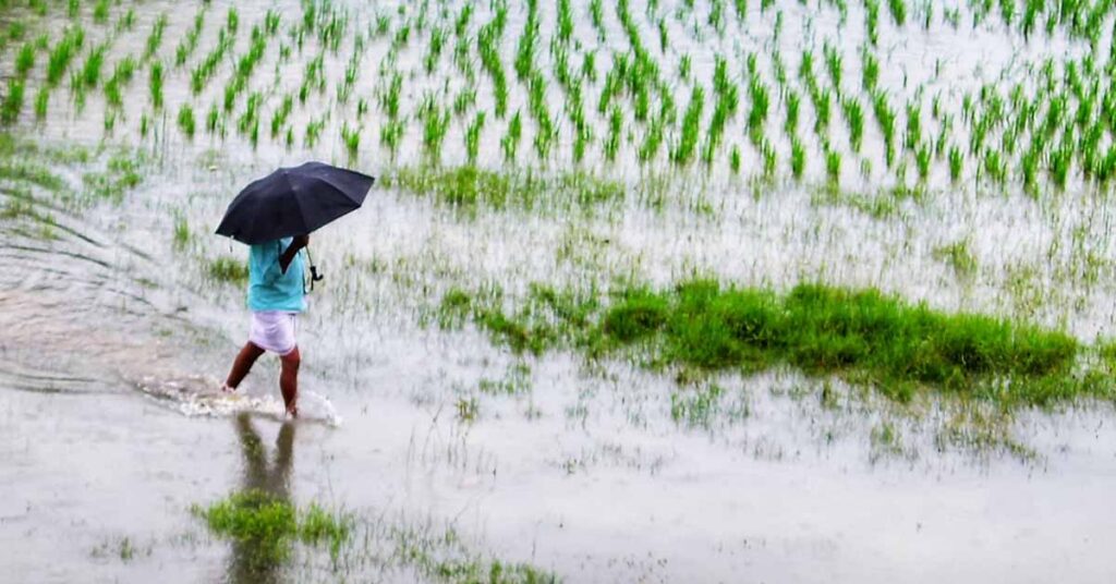 किसानों के लिए बड़ा मौका! हाईटेक हब खोलने पर मिलेगा 1.30 करोड़ रुपये तक अनुदान, आवेदन शुरू
