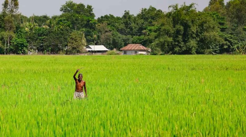 मंडला जिले में किसानों को काली हल्दी क्लस्टर से जोड़ने की तैयारी
